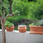 Casa vacanze House Biokovo